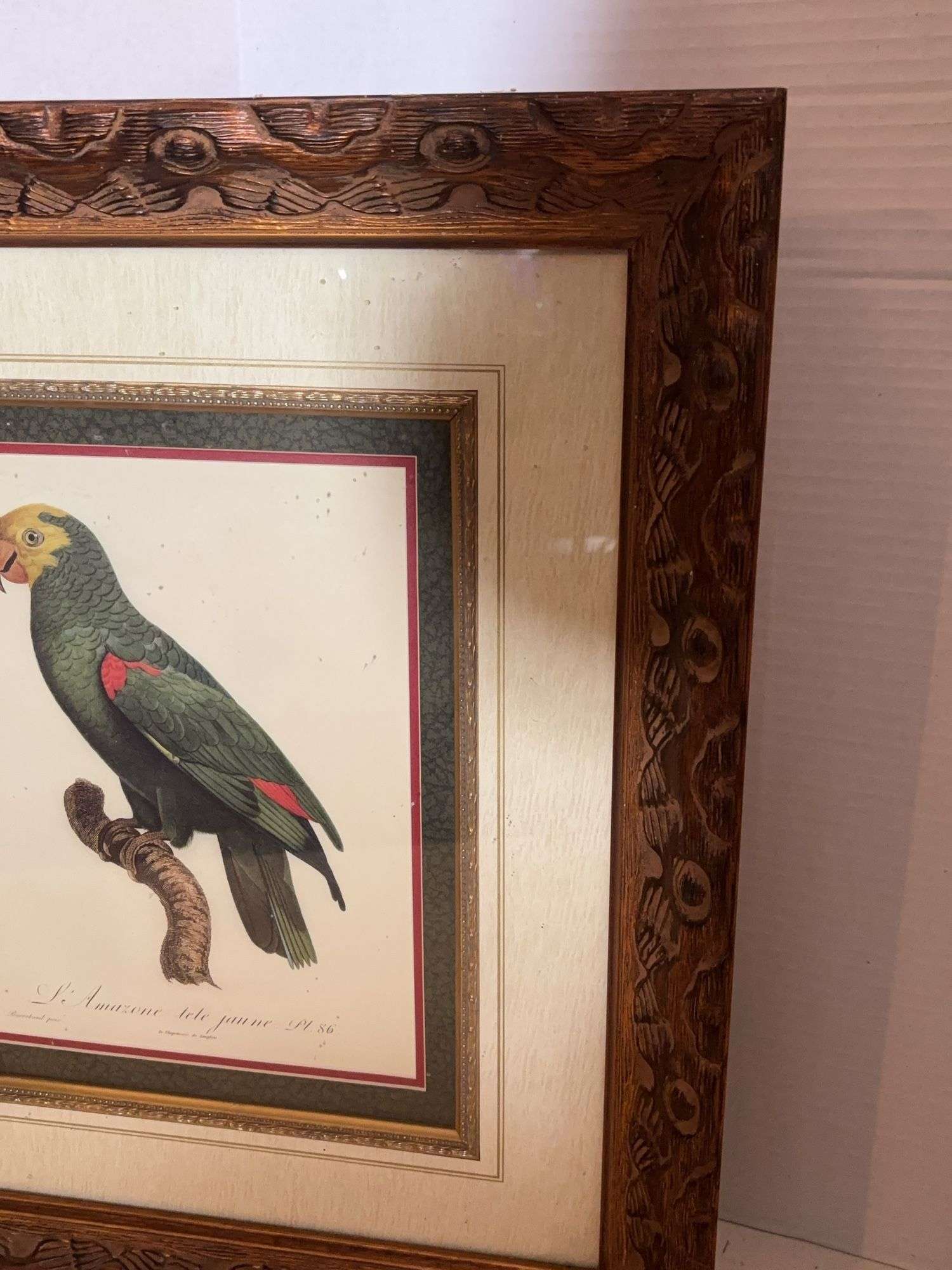 21.5” x 19.5” FRAMED PARROT WALL DECOR