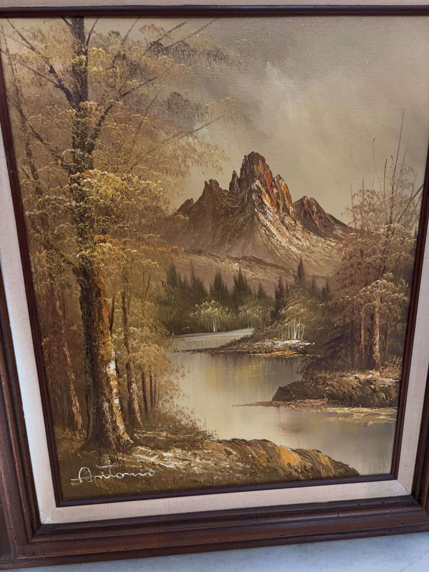 28” x 24” FRAMED SCENIC ART CANVAS