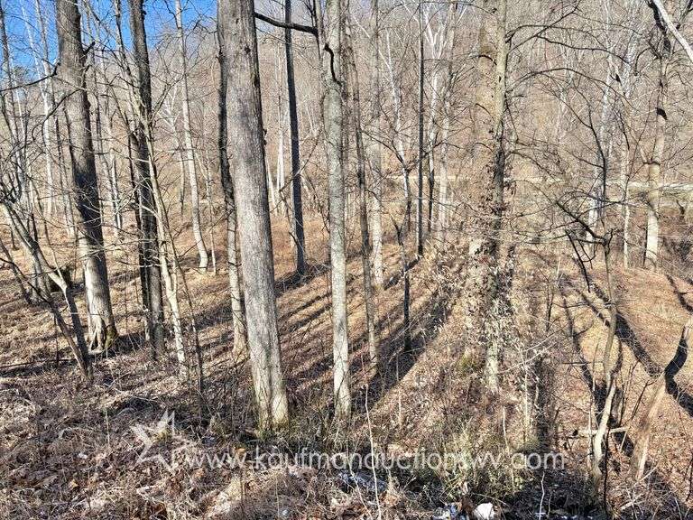 29+/- Acre Wayne County WV...