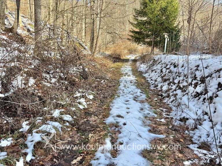 30+/- Acre Nicholas County...