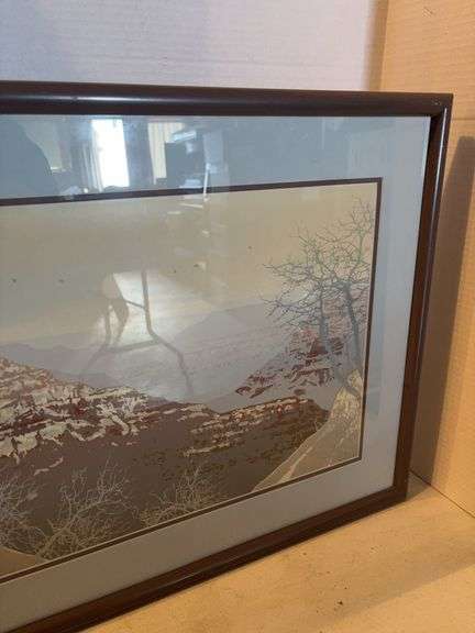 31” x 20” FRAMED CANYON PRINT