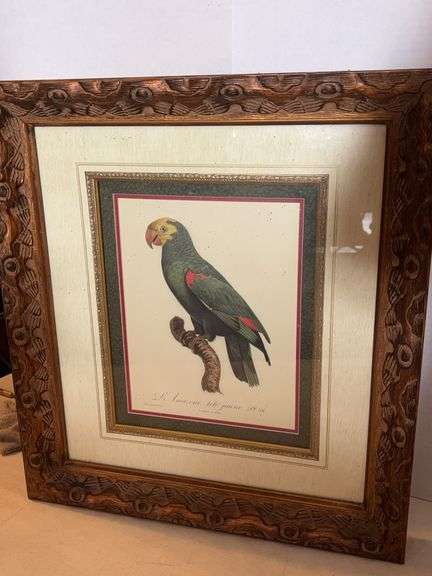 21.5” x 19.5” FRAMED PARROT WALL DECOR