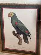 21.5” x 19.5” FRAMED PARROT WALL DECOR