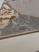 SIGNED CANYON PRINT 20” x 31”