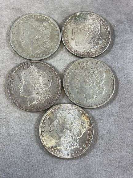 (5) Morgan Dollars
