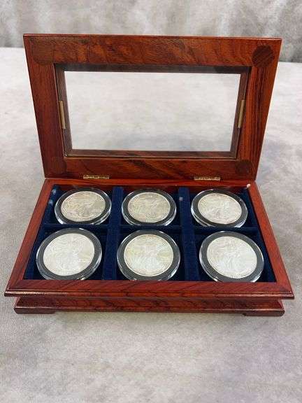 (6) 2004-09 Silver Eagles